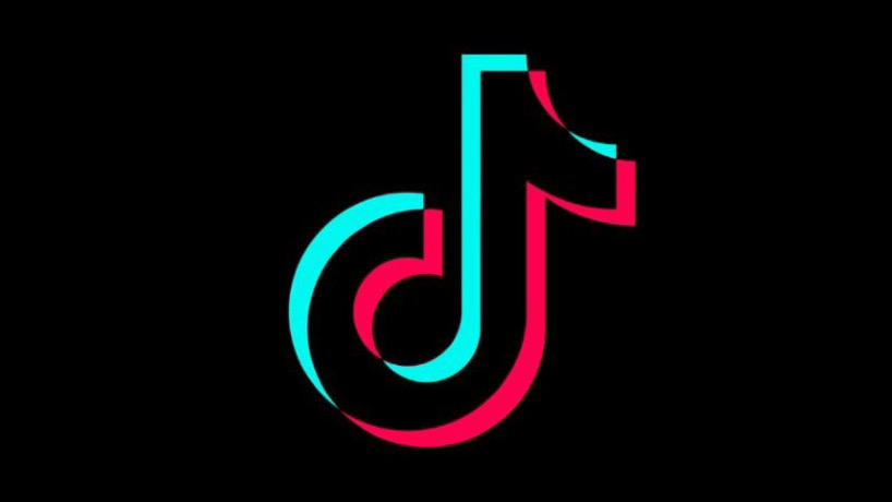 فالور تیک تاک کیفیت عالی بین المللی (جبران ریزش 1ماه)